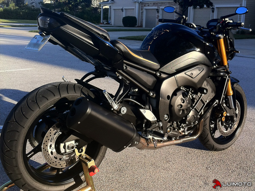 Yamaha fz1 Street Fighter